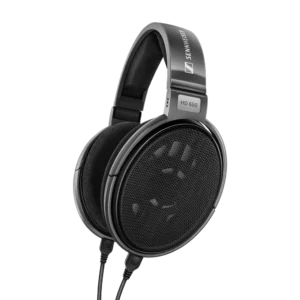 Sennheiser Consumer Audio HD 650