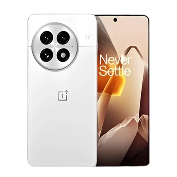 OnePlus 13 (Global Version)
