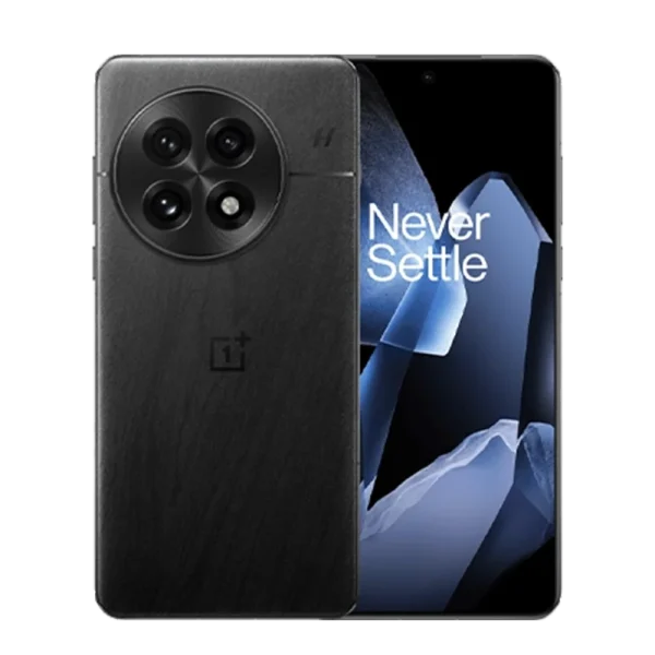 OnePlus 13 (Global Version)