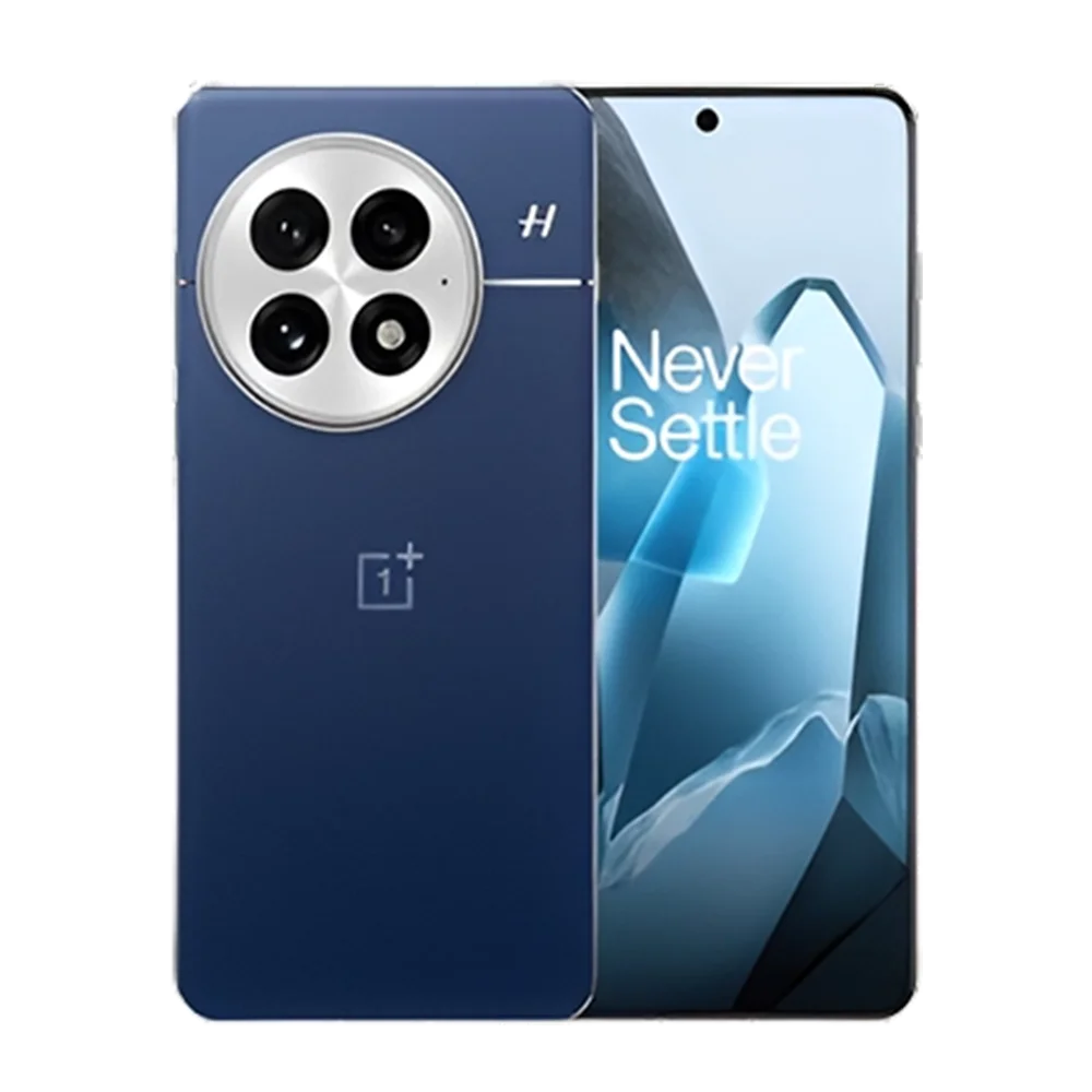 OnePlus 13 (Global Version)