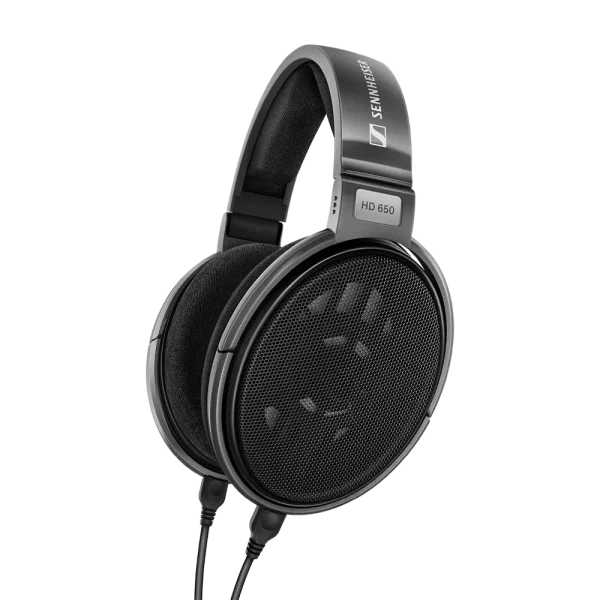 Sennheiser Consumer Audio HD 650