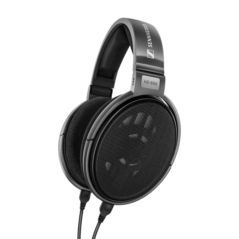 Sennheiser Consumer Audio HD 650